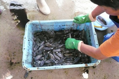 P1030187