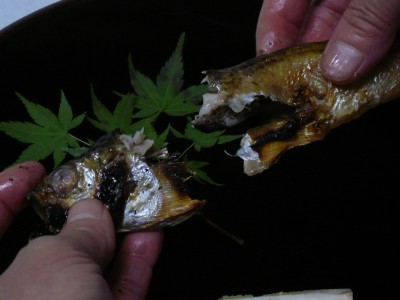 はたはた食べ方1
