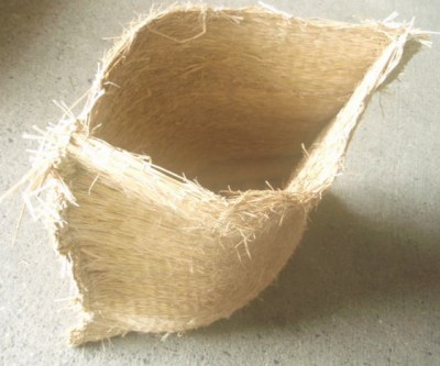kamasu2