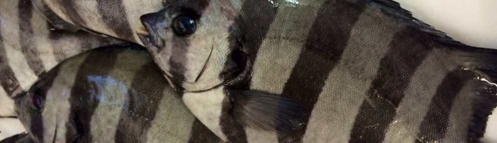 かわいい顔をして、実は・・・！！！