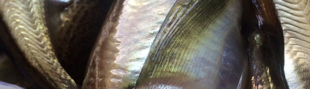 秋の干物は、ハタハタ（鰰）が好きっ！！